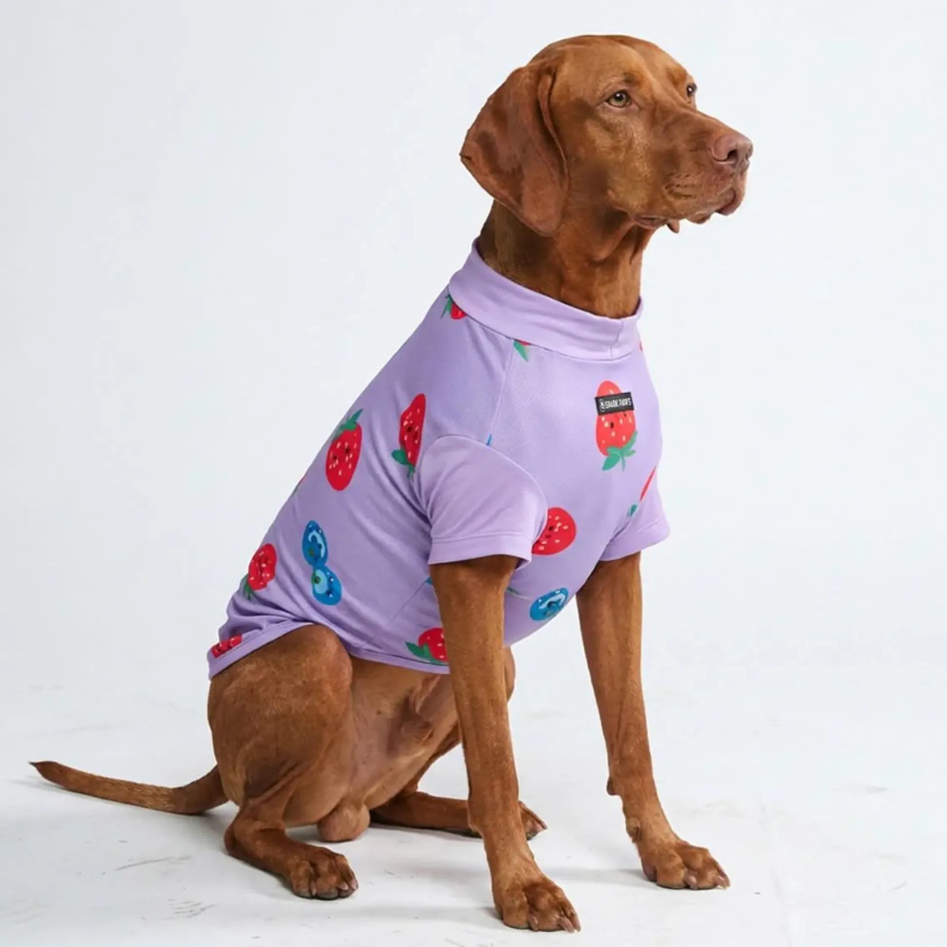 Sunblock Dog T-Shirt - Prints