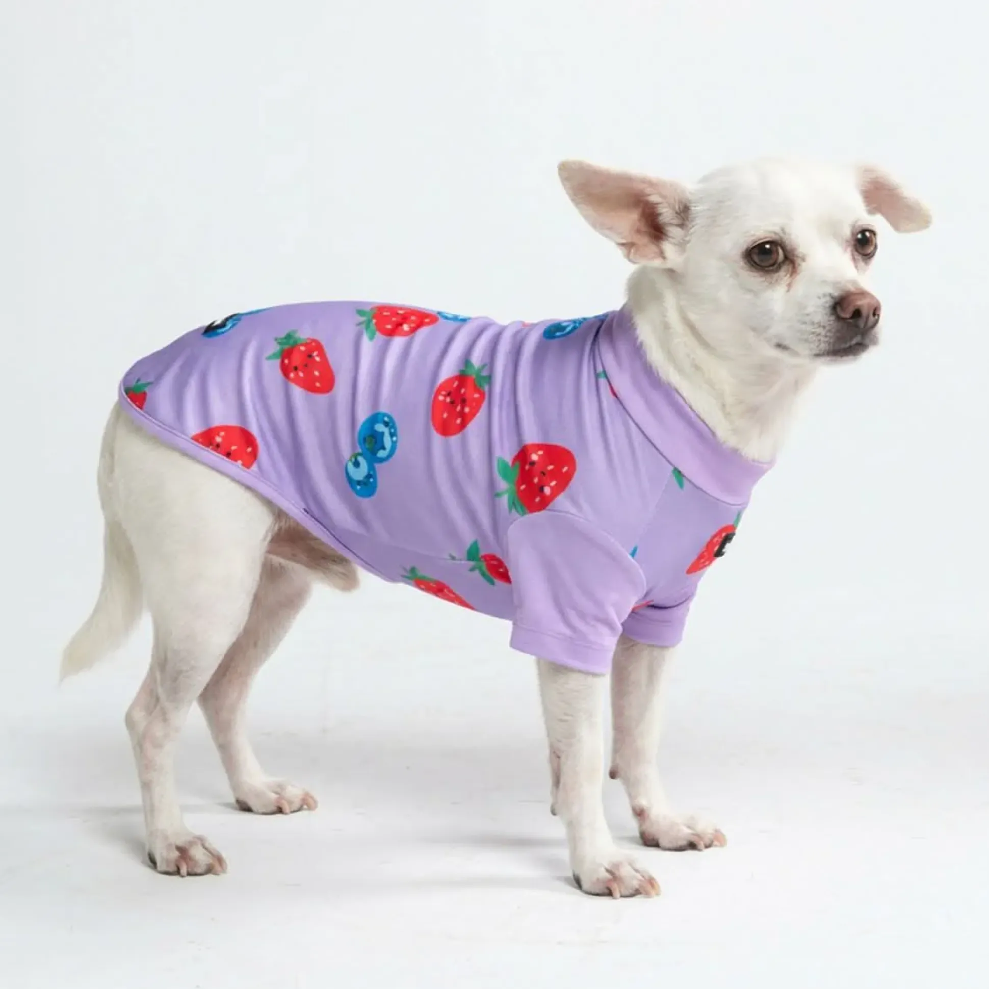 Sunblock Dog T-Shirt - Prints