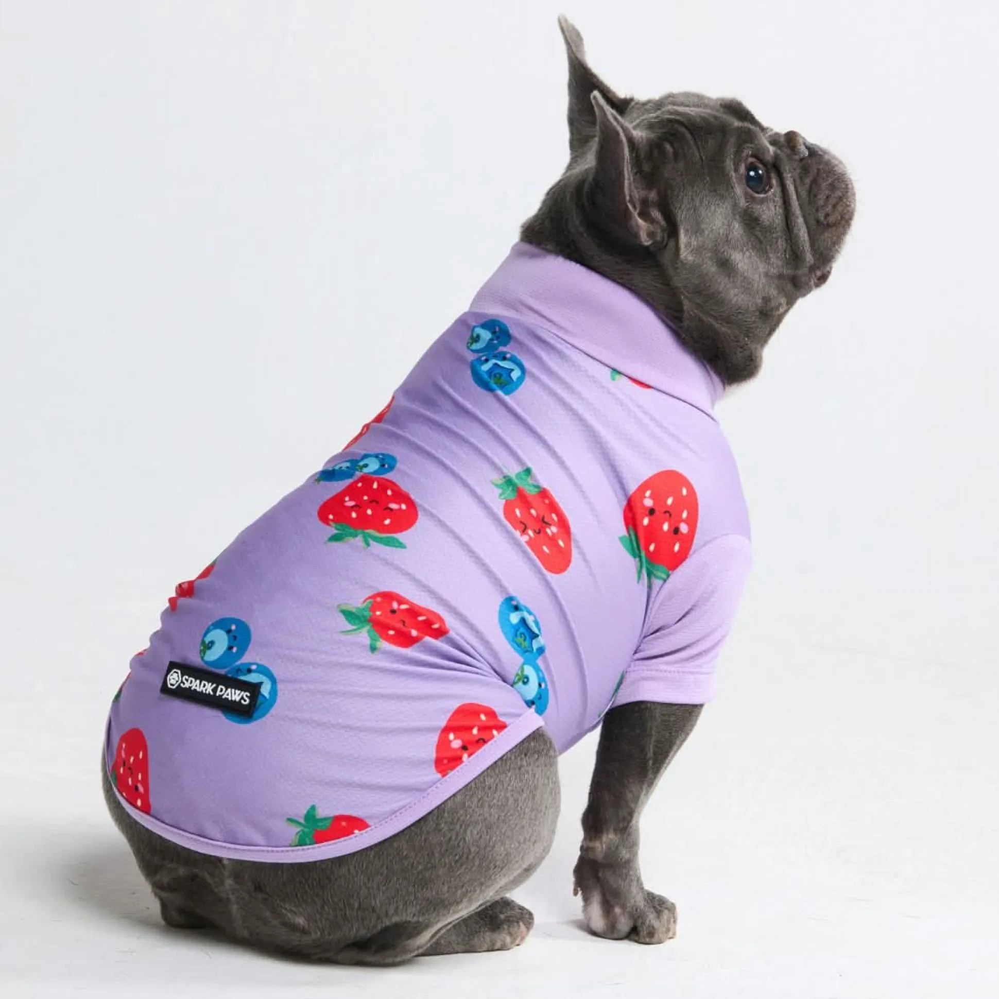 Sunblock Dog T-Shirt - Prints