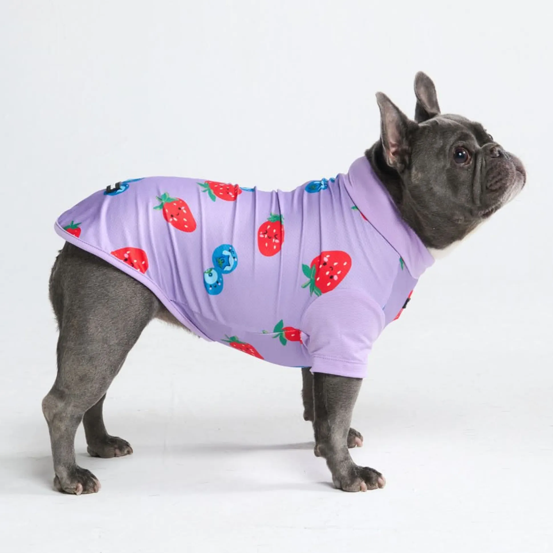 Sunblock Dog T-Shirt - Prints