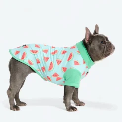 Sunblock Dog T-Shirt - Prints