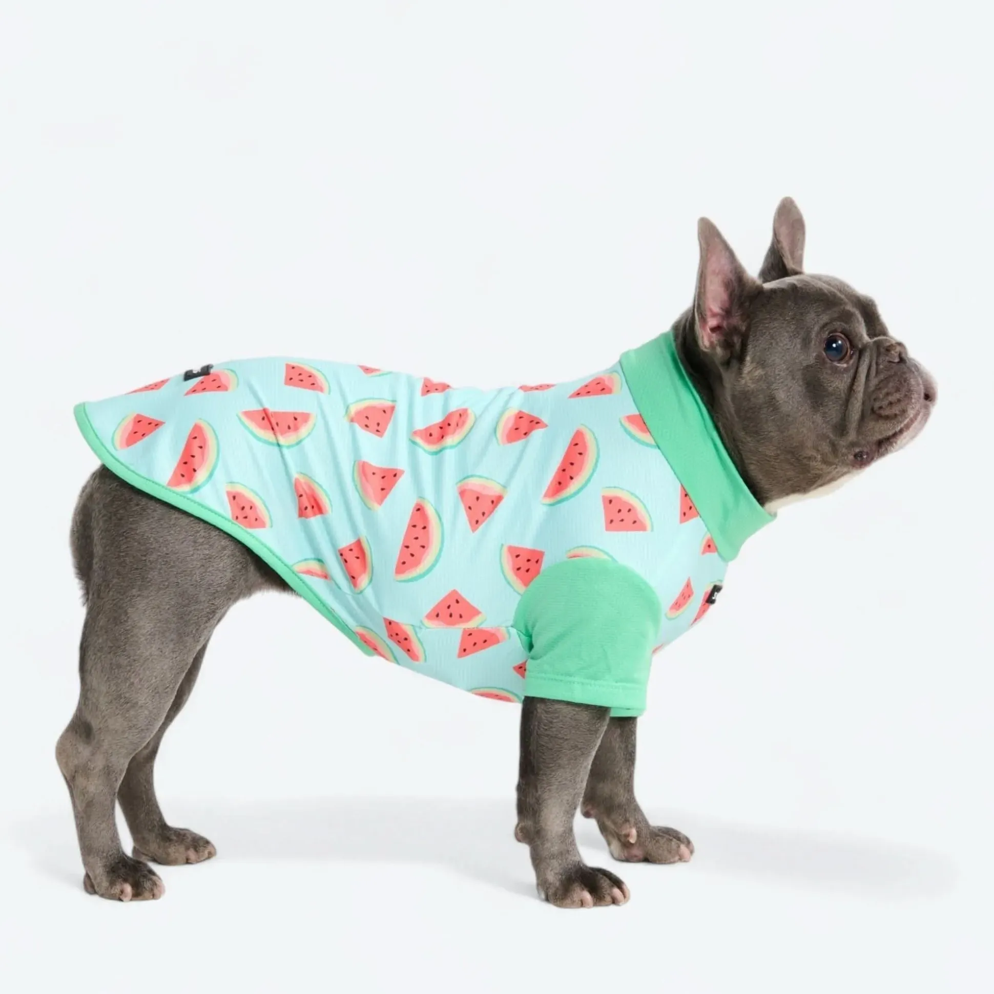 Sunblock Dog T-Shirt - Prints