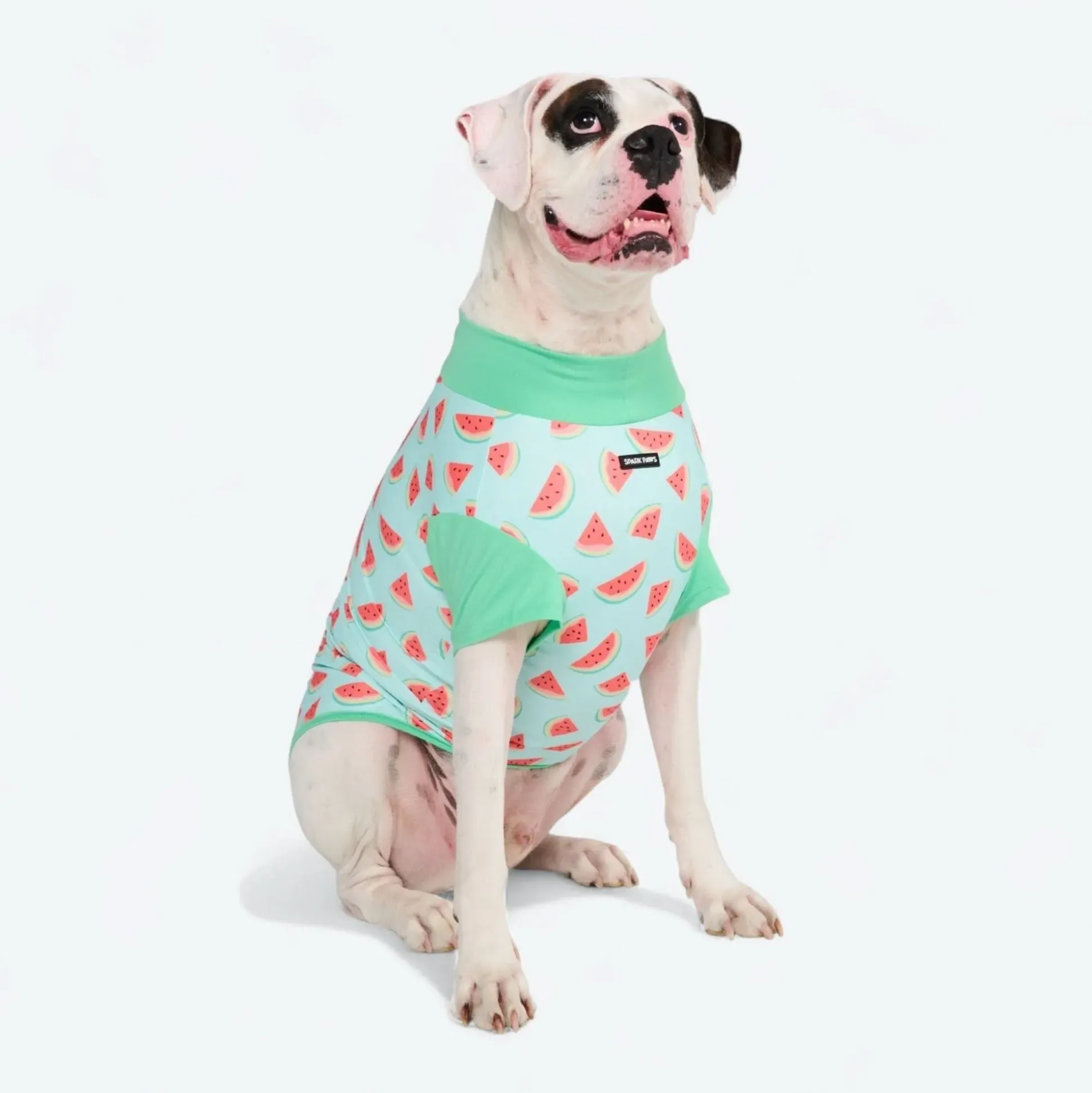 Sunblock Dog T-Shirt - Prints