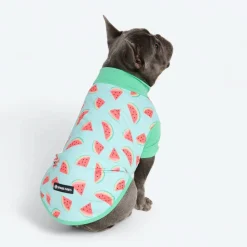 Sunblock Dog T-Shirt - Prints