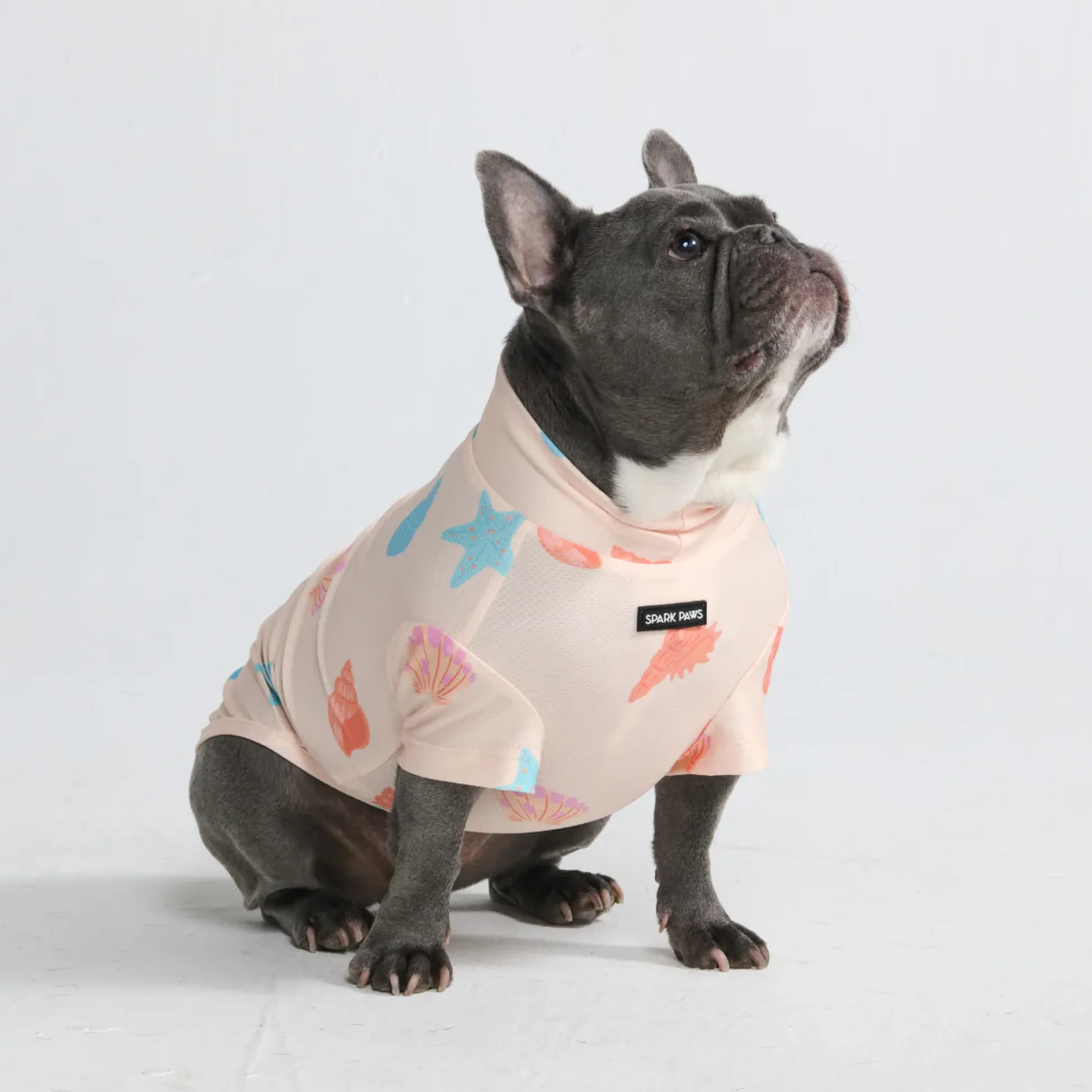 Sunblock Dog T-Shirt - Prints