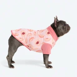 Sunblock Dog T-Shirt - Prints