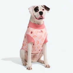 Sunblock Dog T-Shirt - Prints