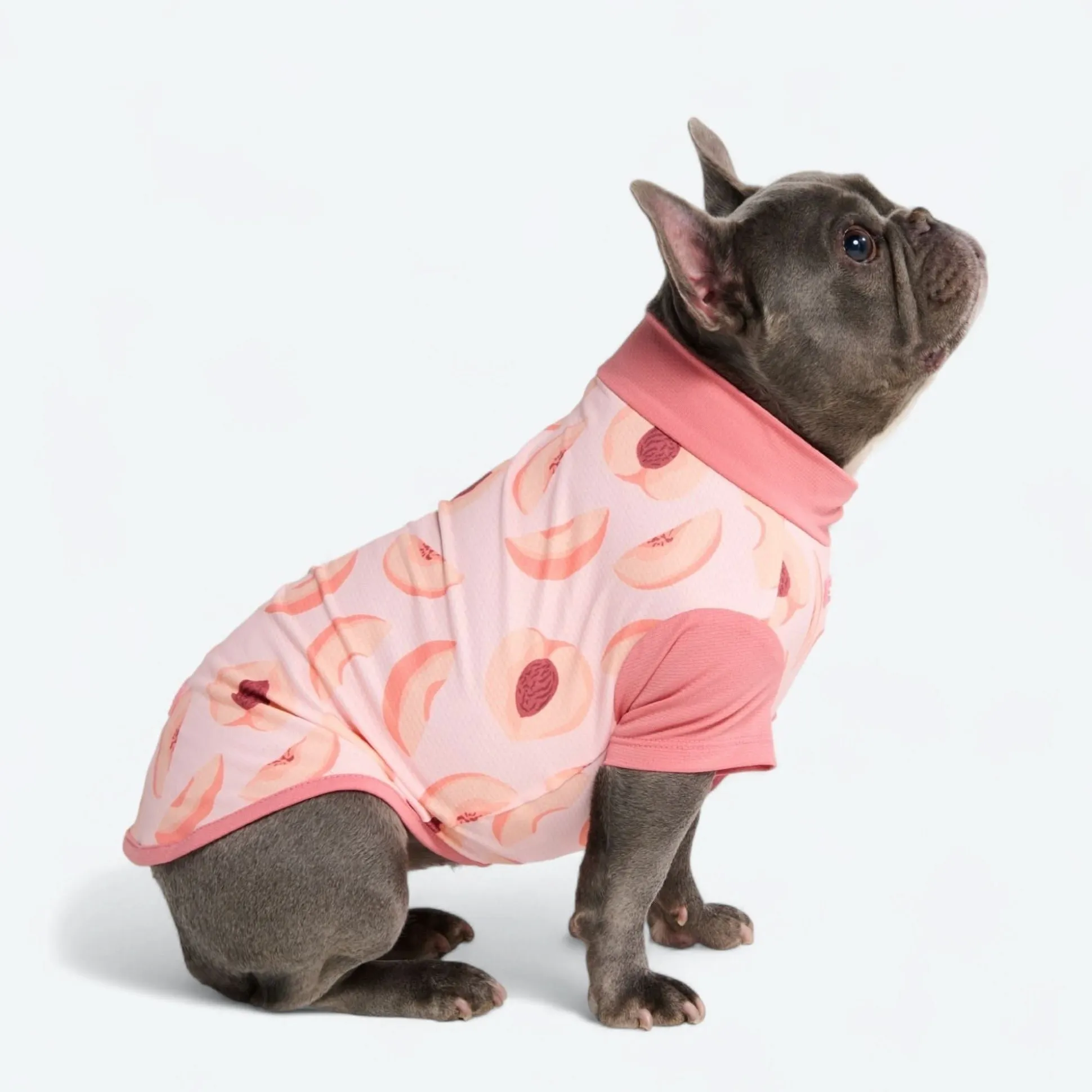 Sunblock Dog T-Shirt - Prints