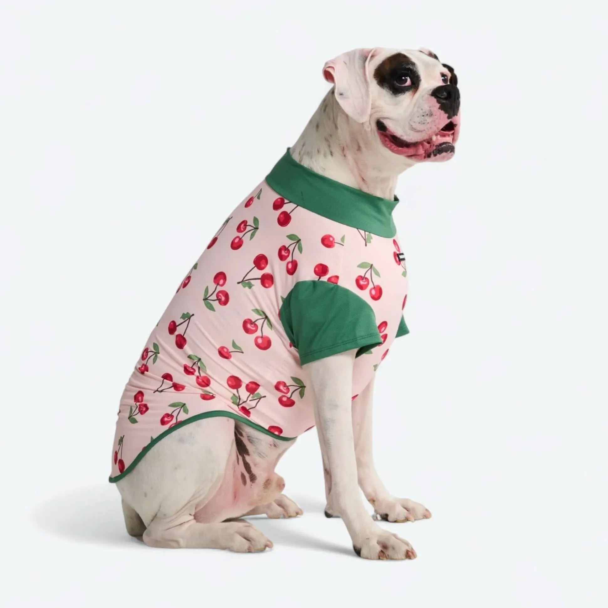 Sunblock Dog T-Shirt - Prints