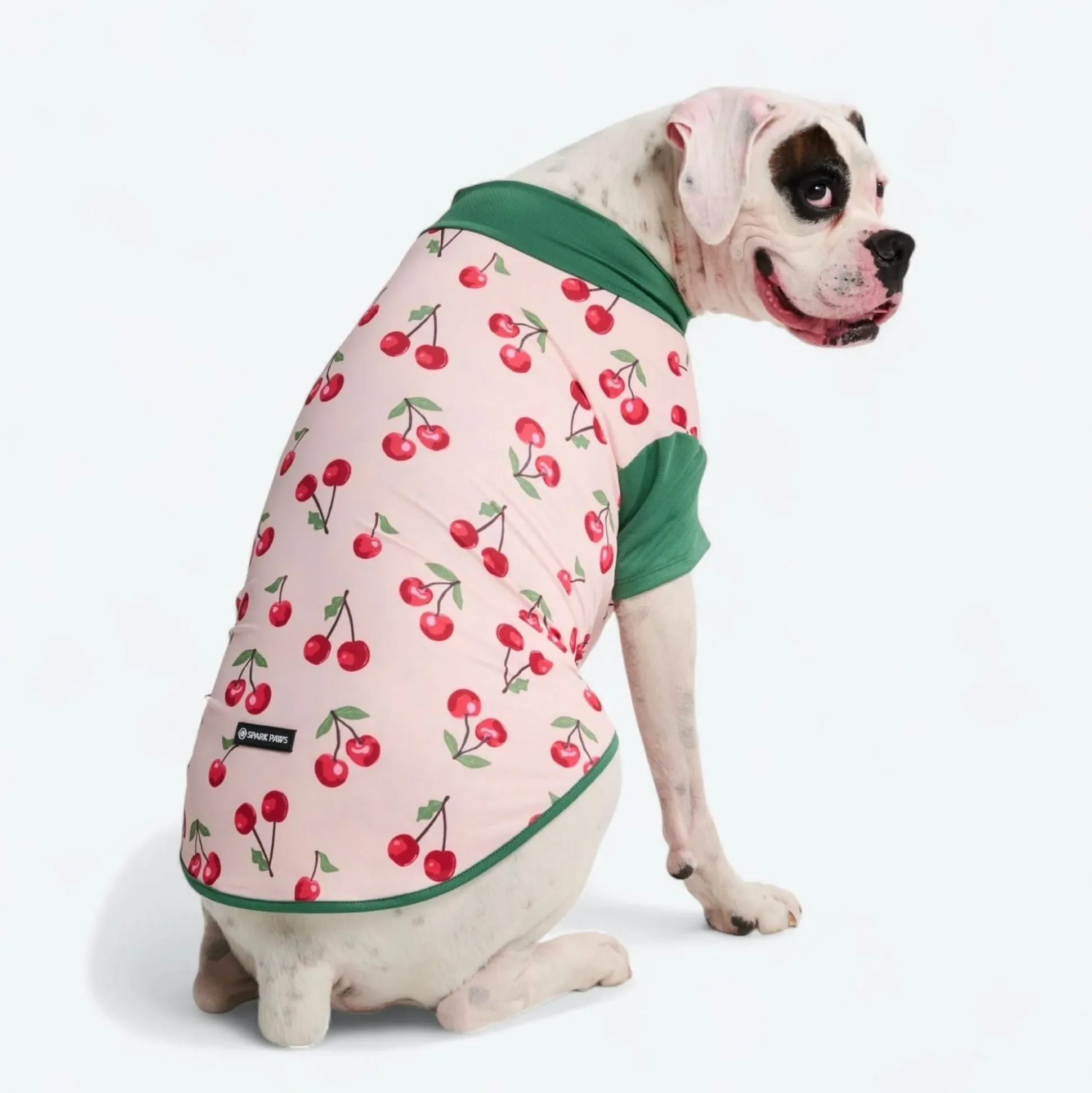 Sunblock Dog T-Shirt - Prints