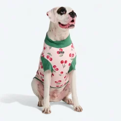 Sunblock Dog T-Shirt - Prints