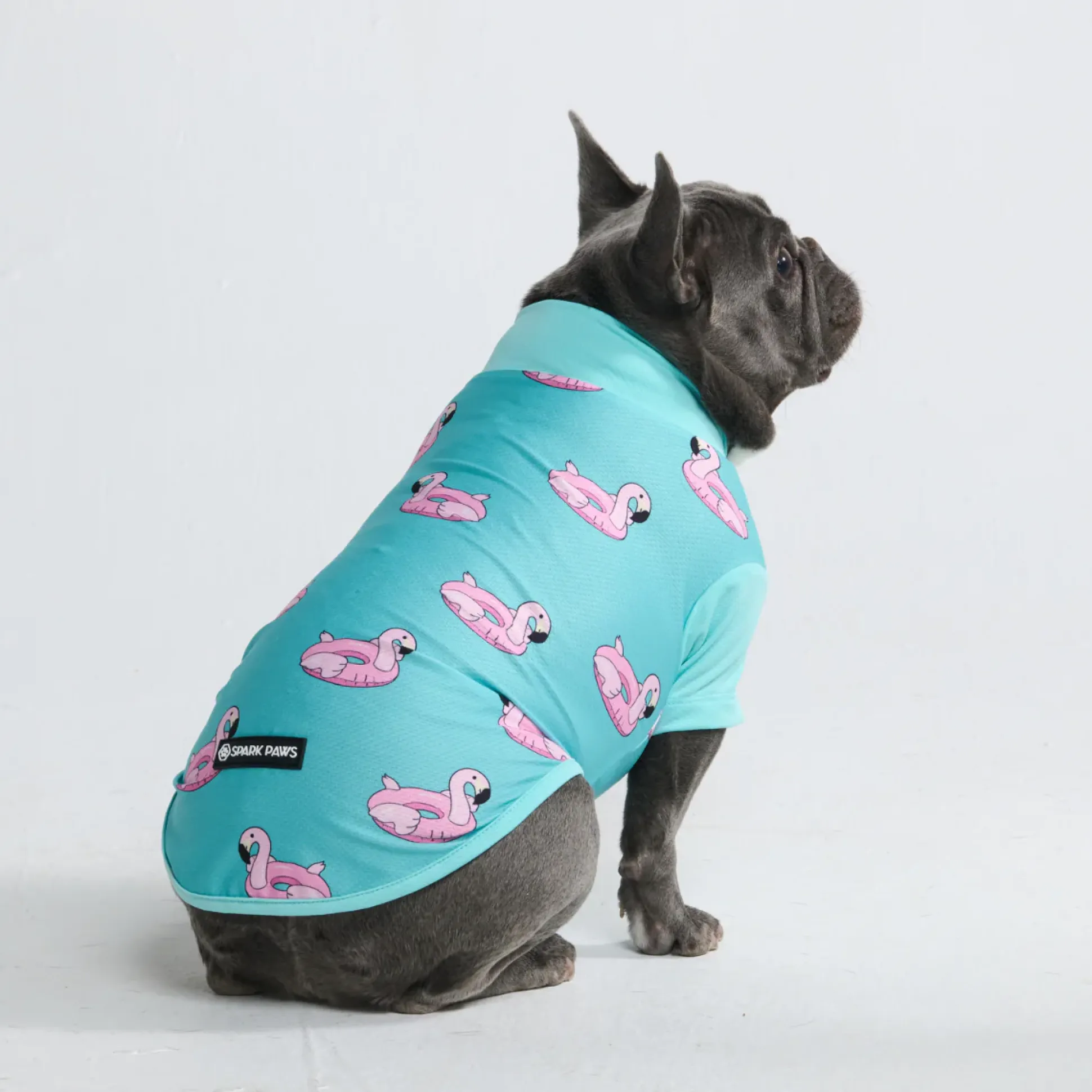Sunblock Dog T-Shirt - Prints