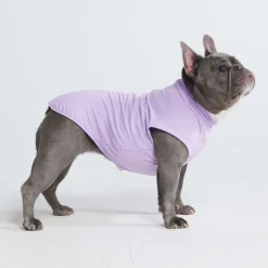 Sunblock Dog T-Shirt - Purple
