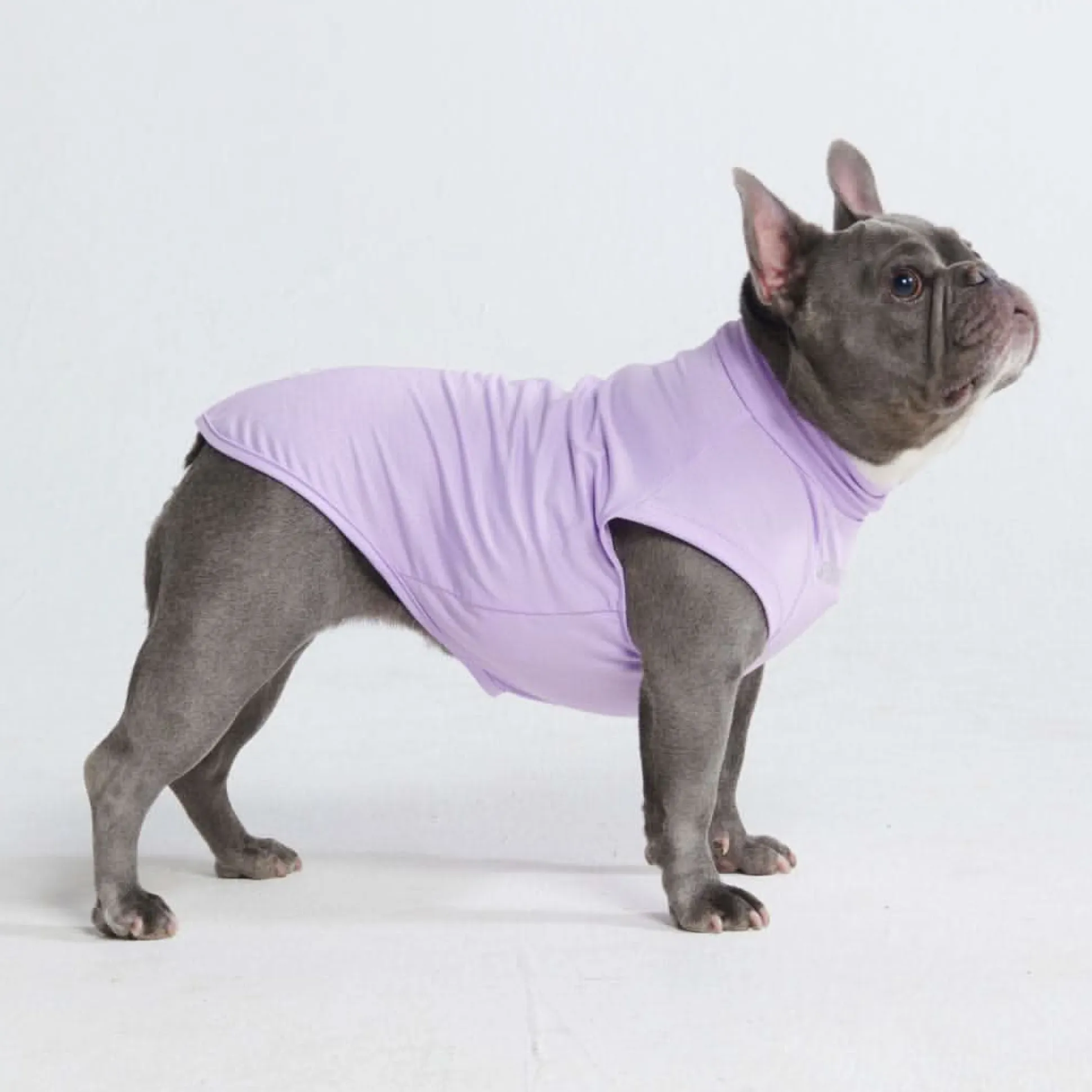 Sunblock Dog T-Shirt - Purple