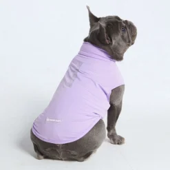 Sunblock Dog T-Shirt - Purple