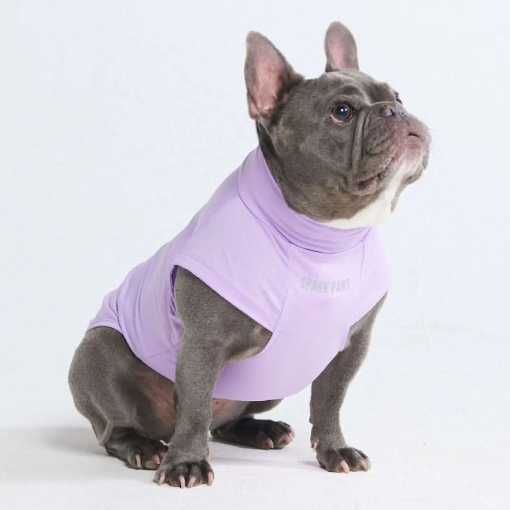 Sunblock Dog T-Shirt - Purple
