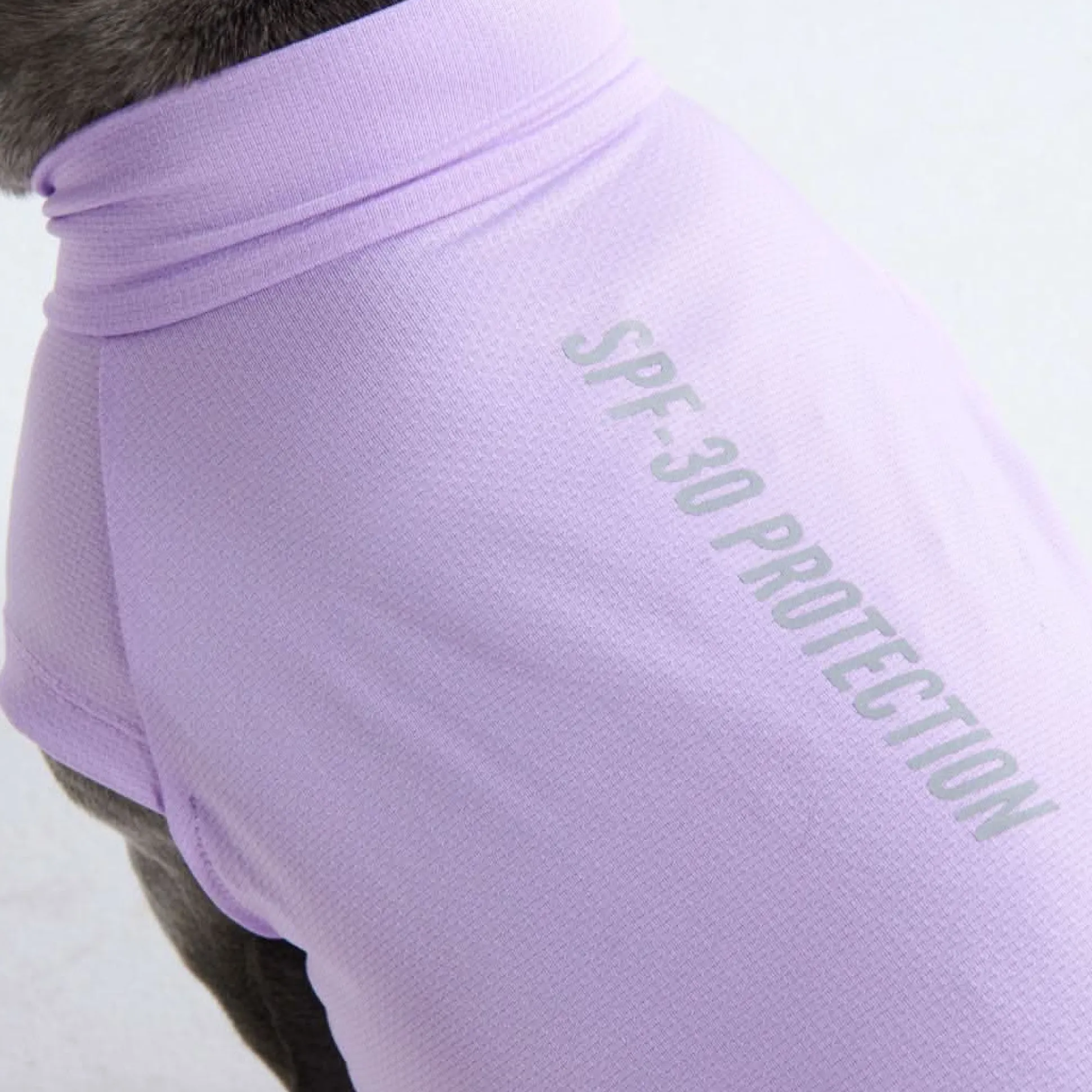 Sunblock Dog T-Shirt - Purple