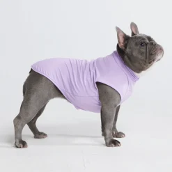 Sunblock Dog T-Shirts