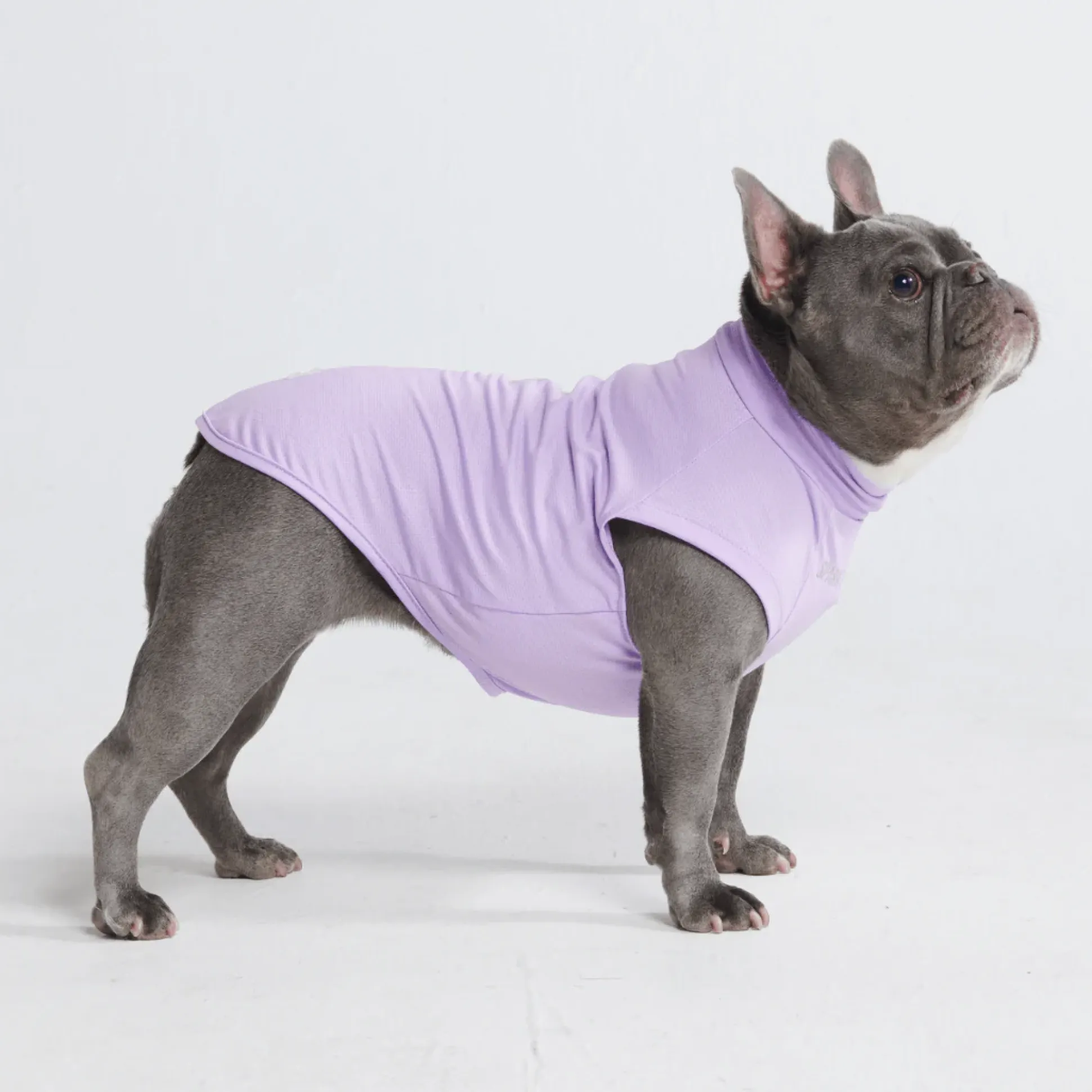 Sunblock Dog T-Shirts