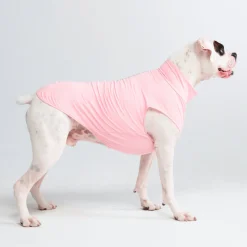 Sunblock Dog T-Shirts