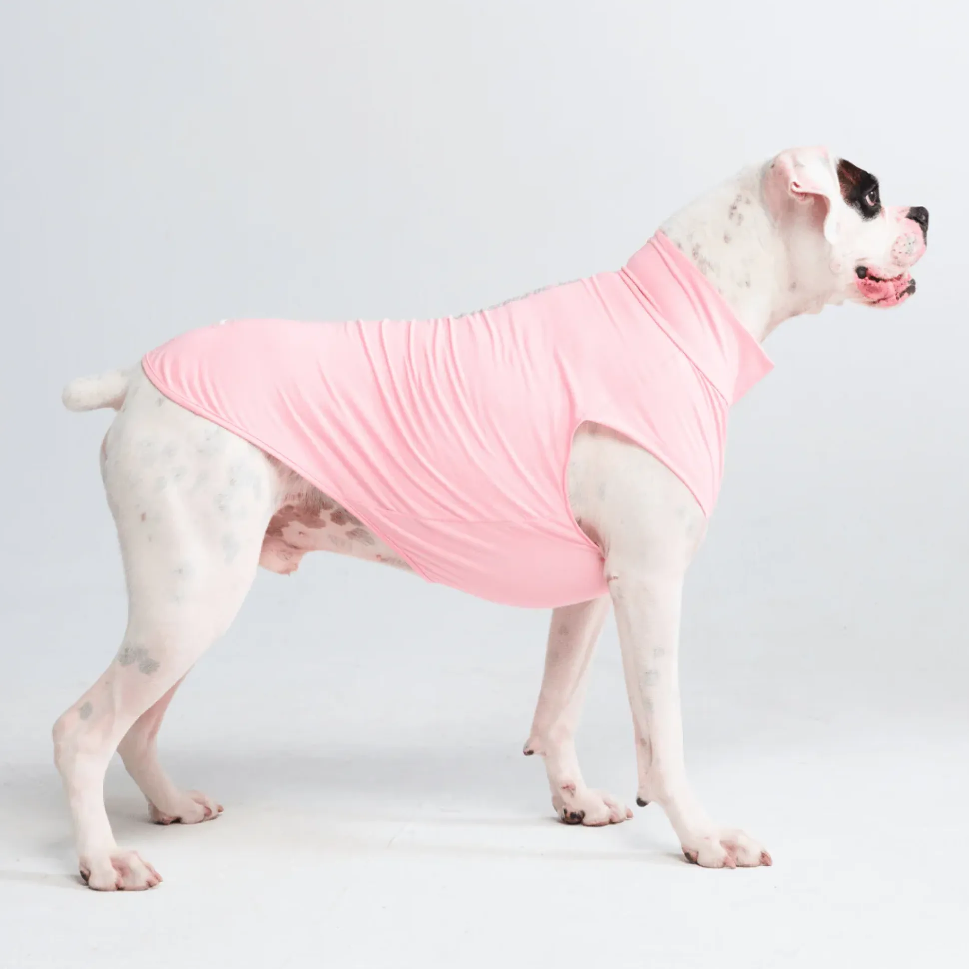 Sunblock Dog T-Shirts