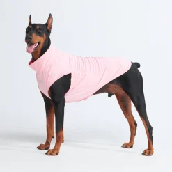 Sunblock Dog T-Shirts