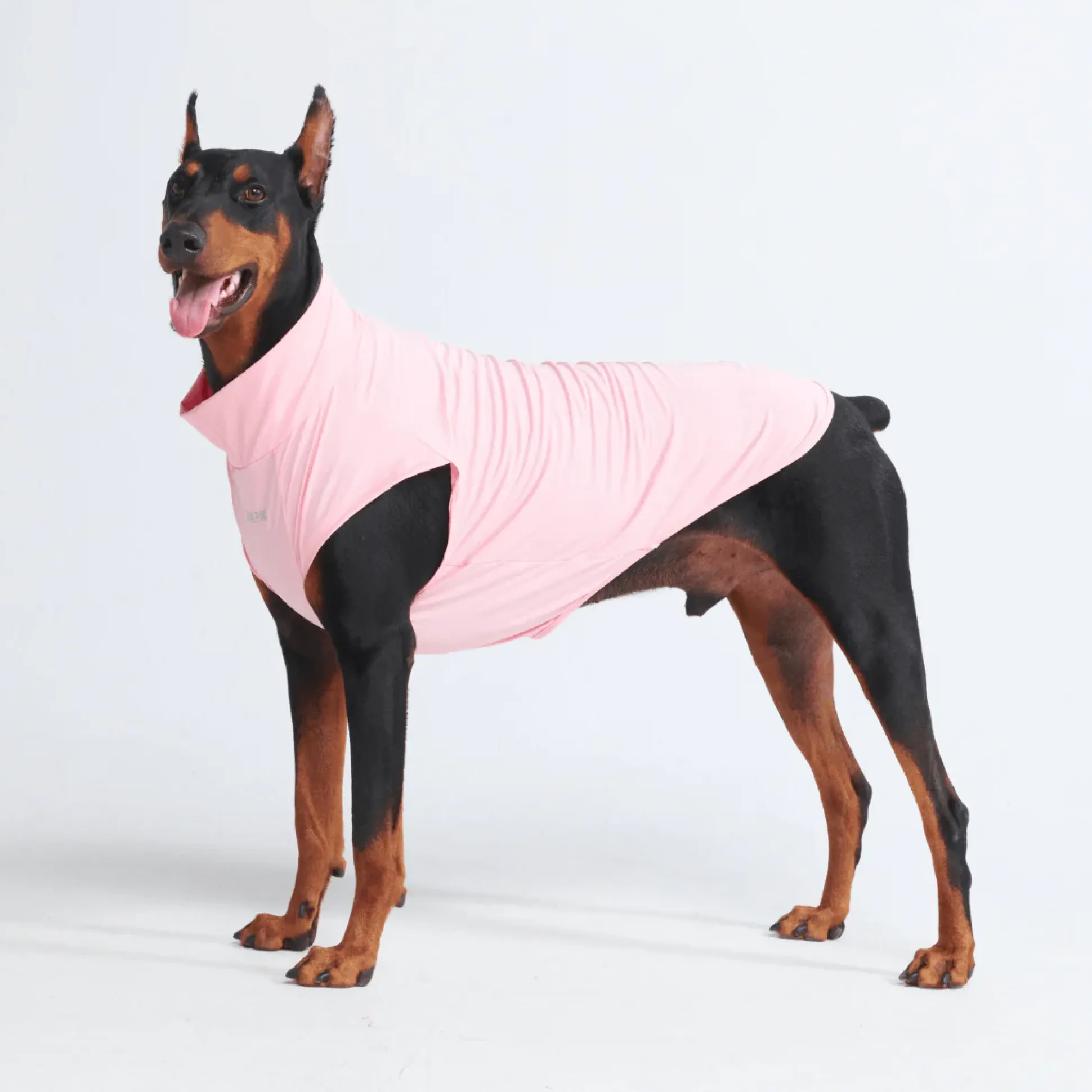 Sunblock Dog T-Shirts