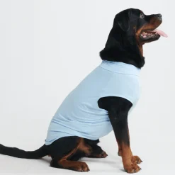 Sunblock Dog T-Shirts