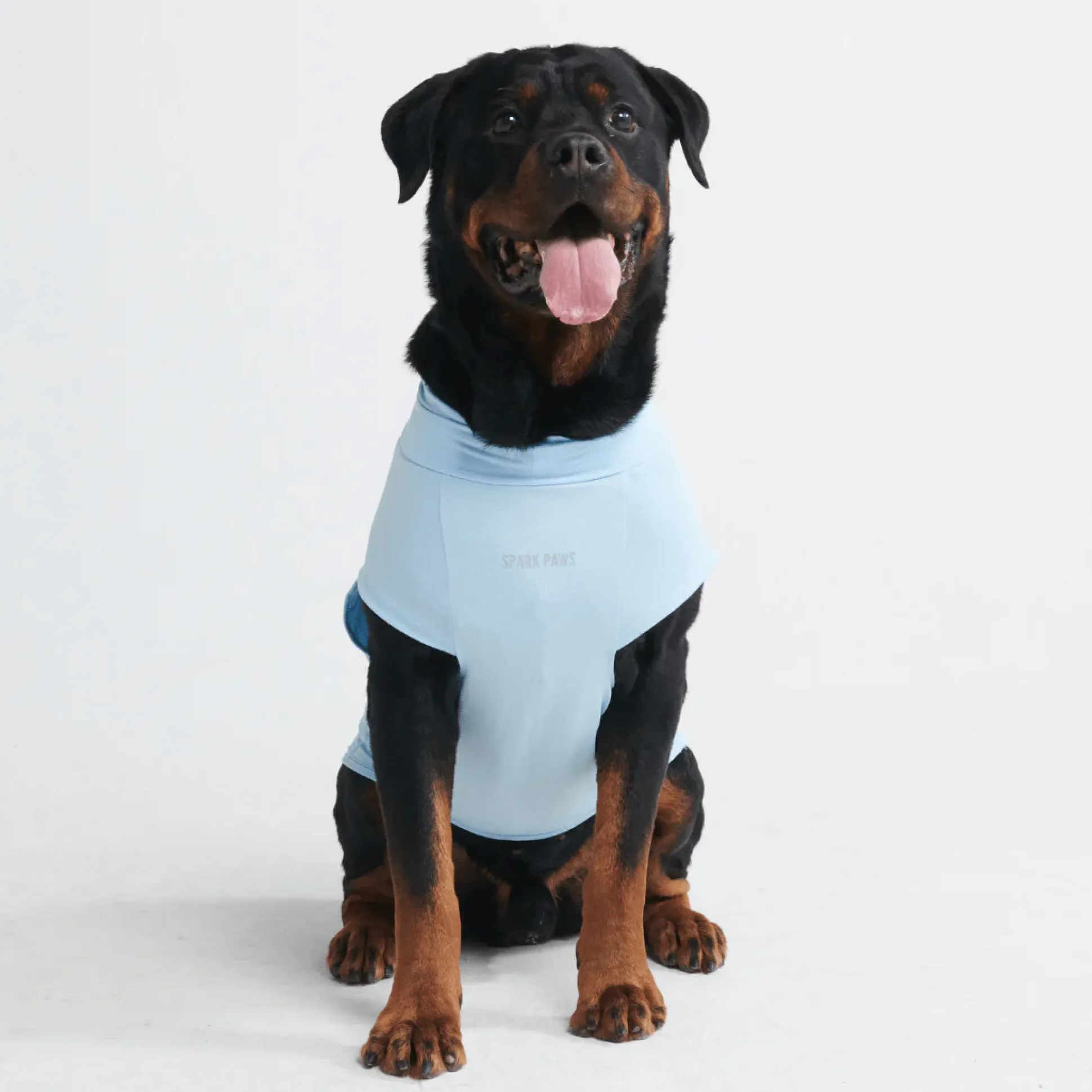 Sunblock Dog T-Shirts