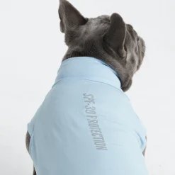 Sunblock Dog T-Shirts