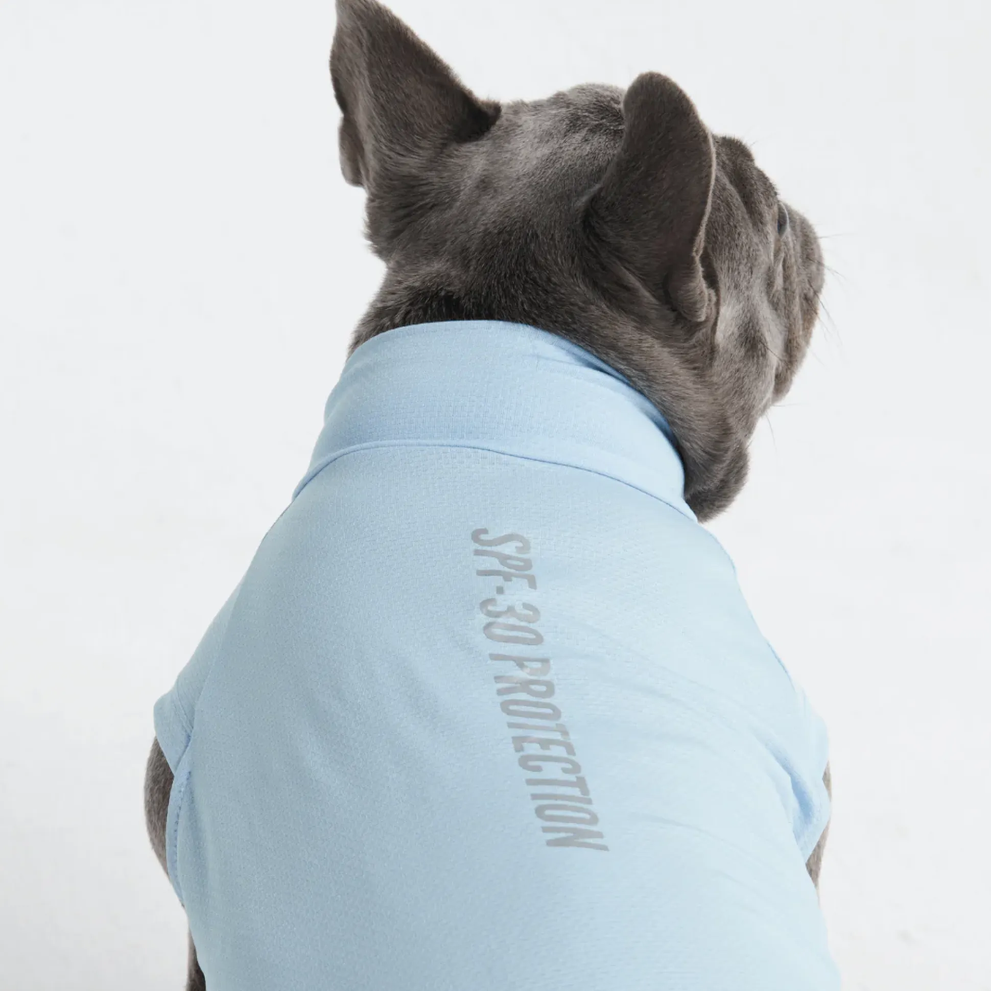 Sunblock Dog T-Shirts