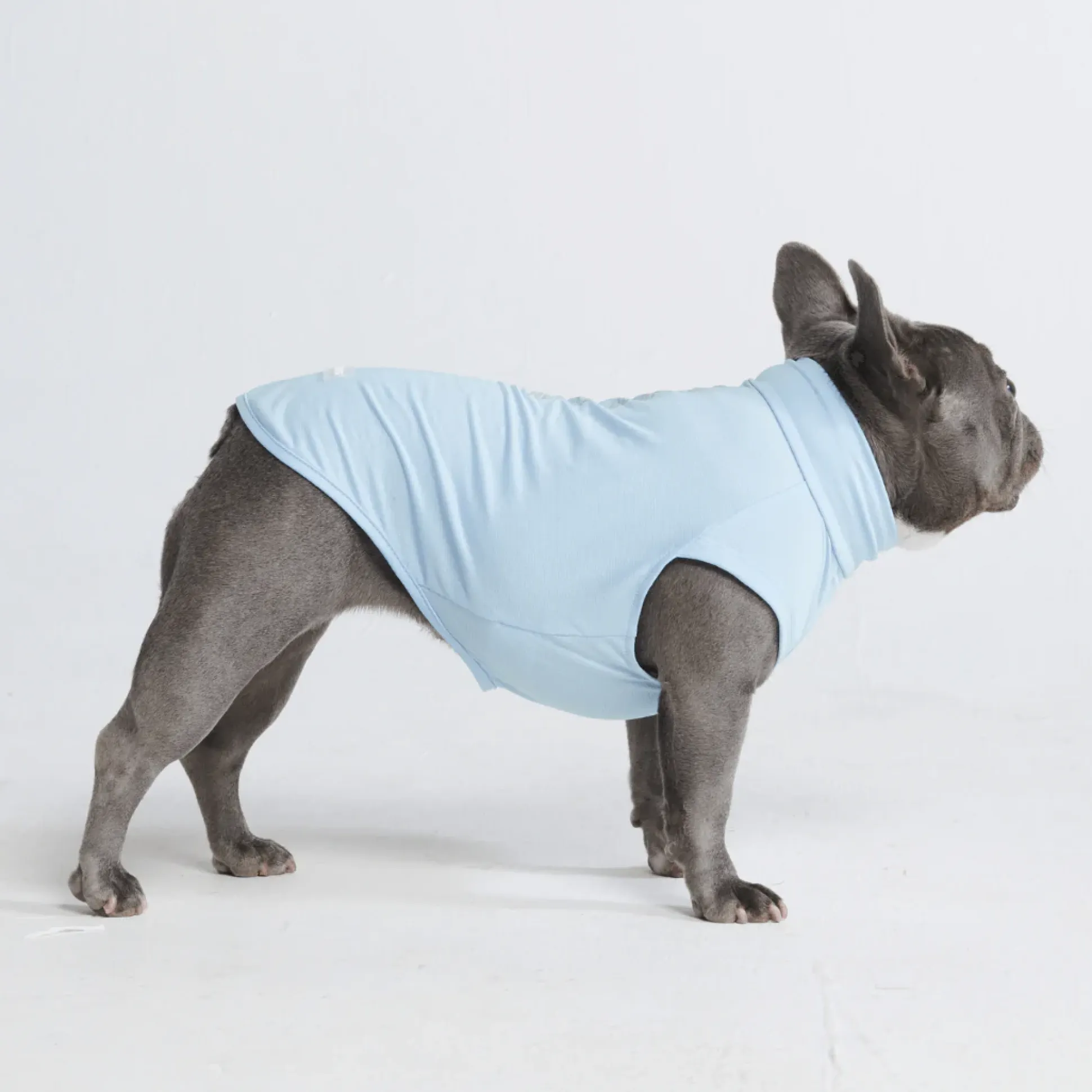 Sunblock Dog T-Shirts