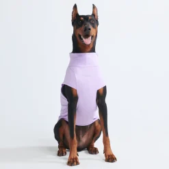 Sunblock Dog T-Shirts