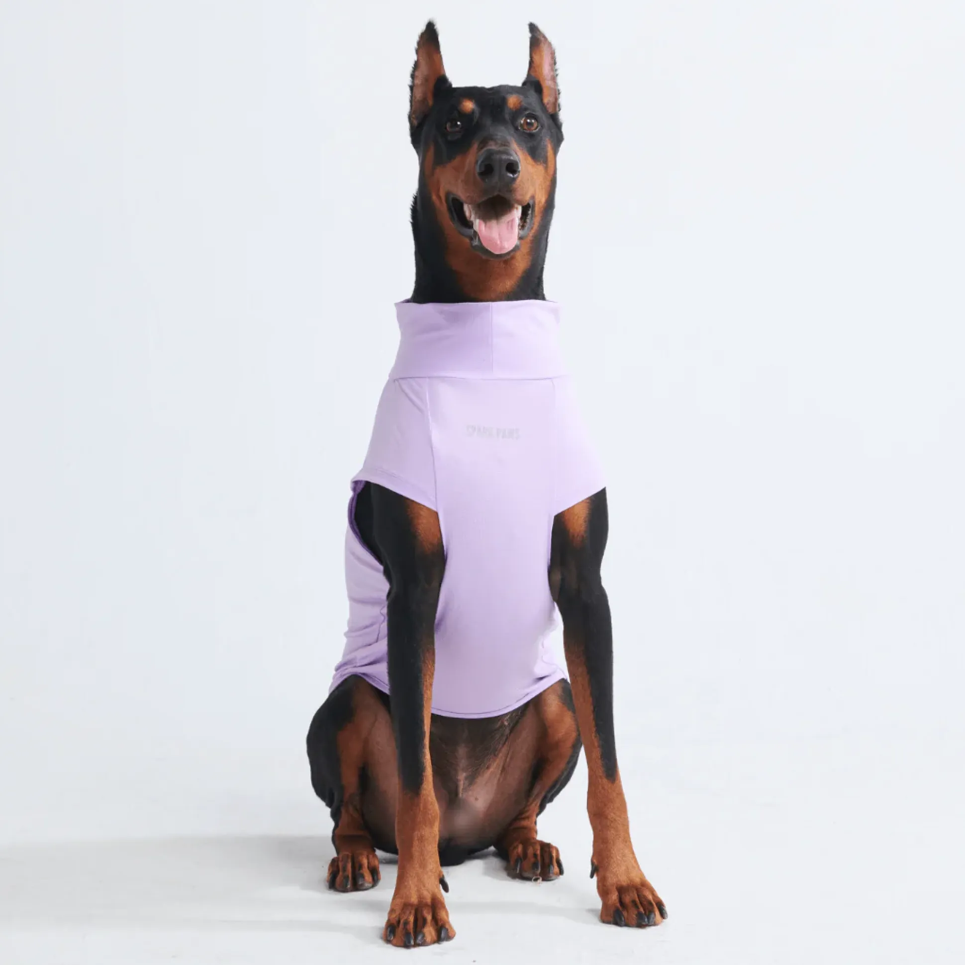 Sunblock Dog T-Shirts