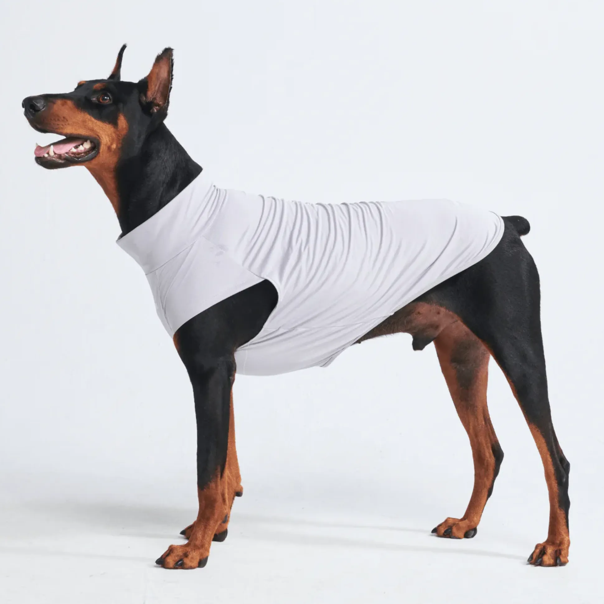 Sunblock Dog T-Shirts