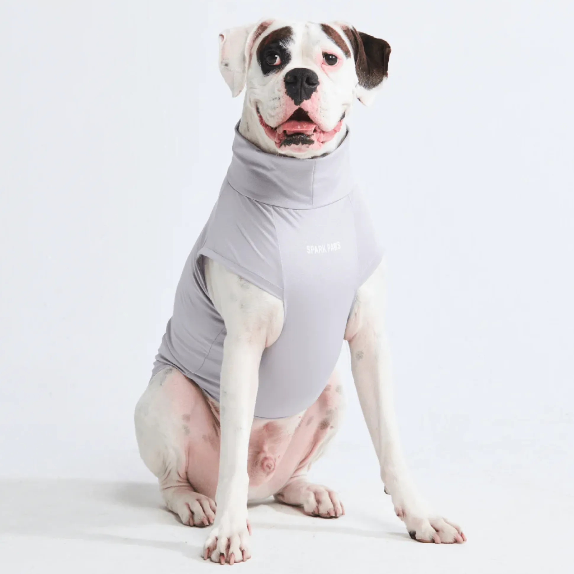 Sunblock Dog T-Shirts