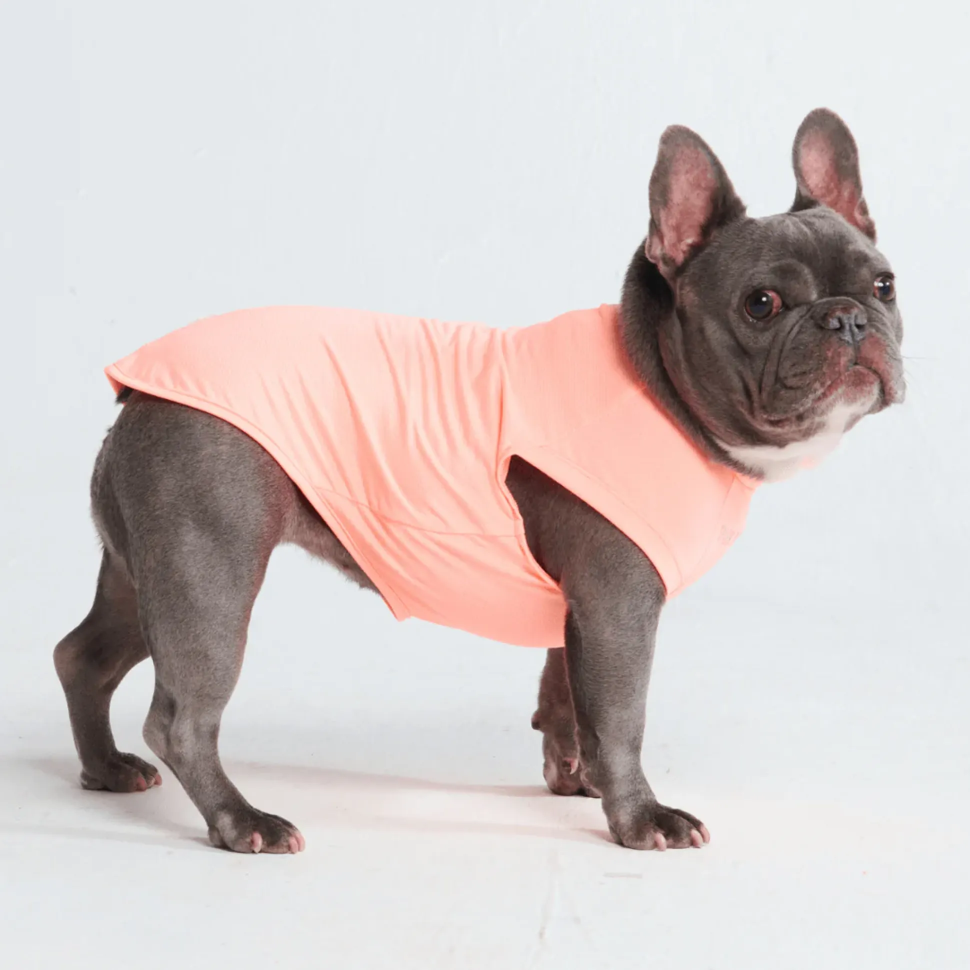 Sunblock Dog T-Shirts