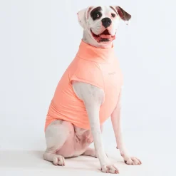 Sunblock Dog T-Shirts