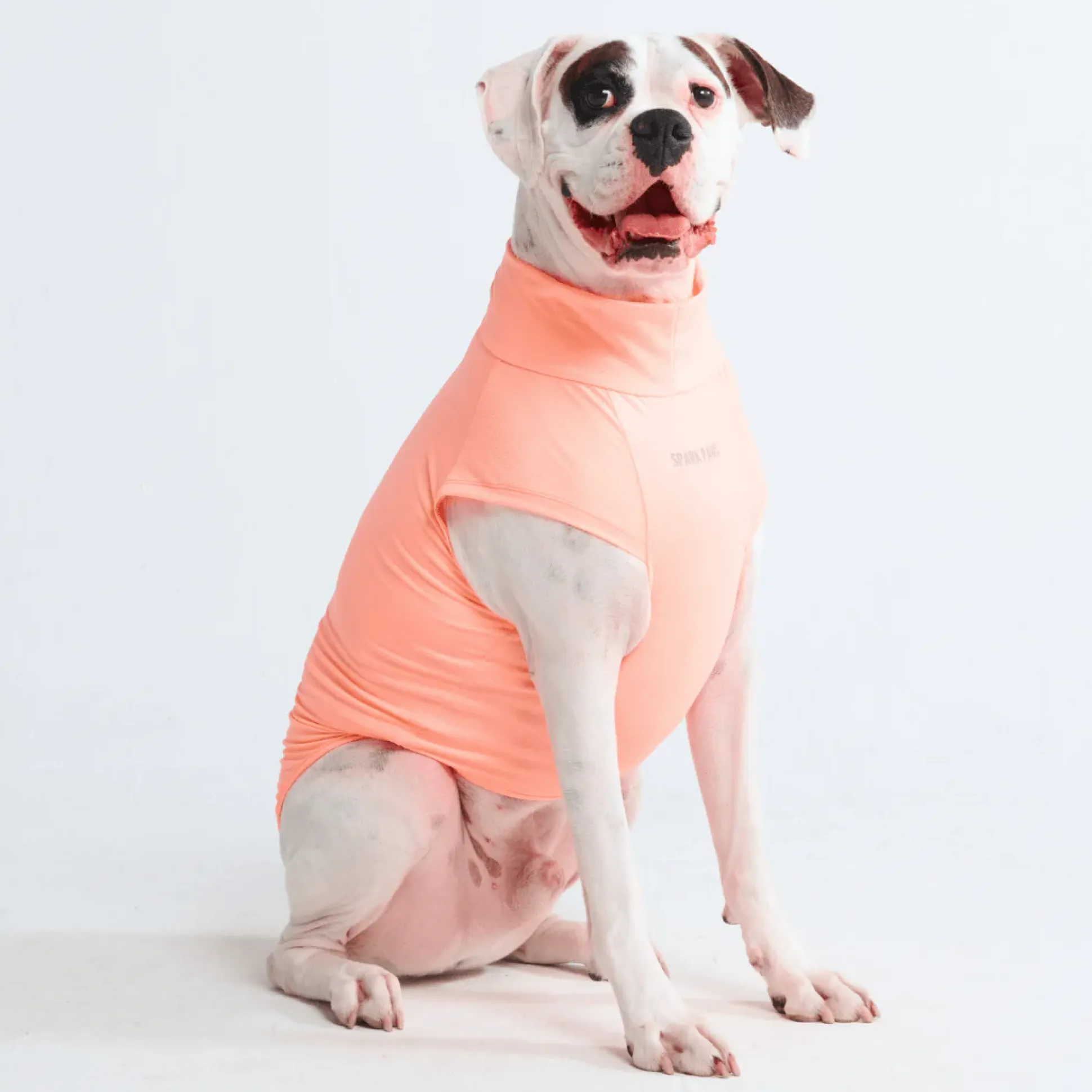 Sunblock Dog T-Shirts