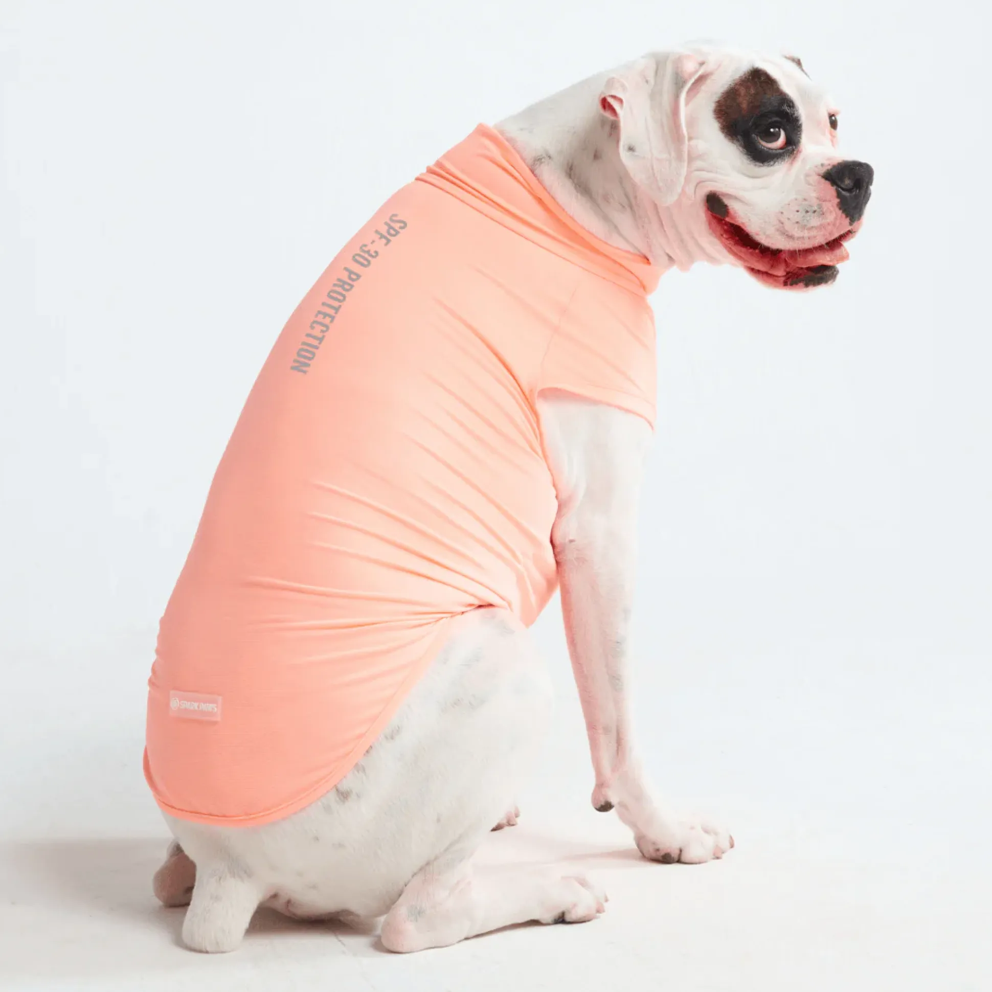 Sunblock Dog T-Shirts