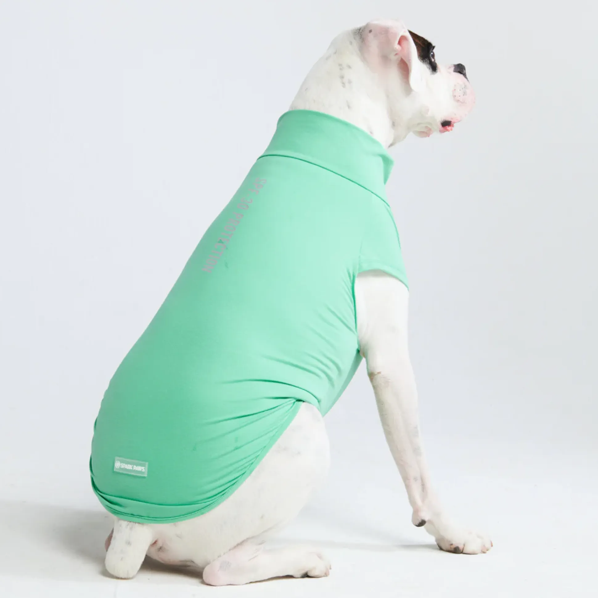 Sunblock Dog T-Shirts