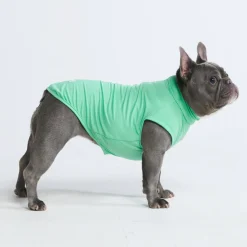 Sunblock Dog T-Shirts
