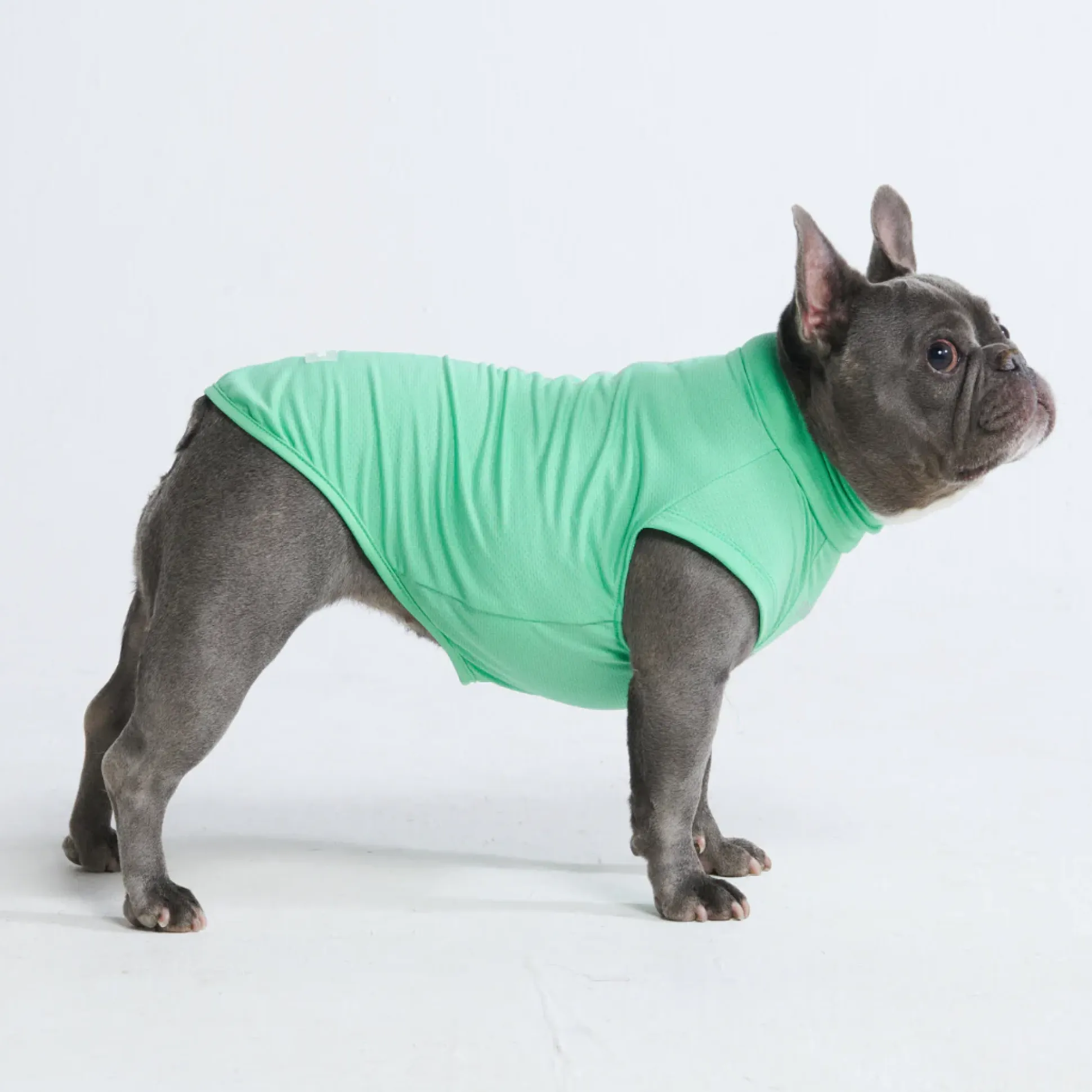 Sunblock Dog T-Shirts