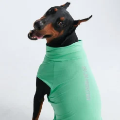 Sunblock Dog T-Shirts