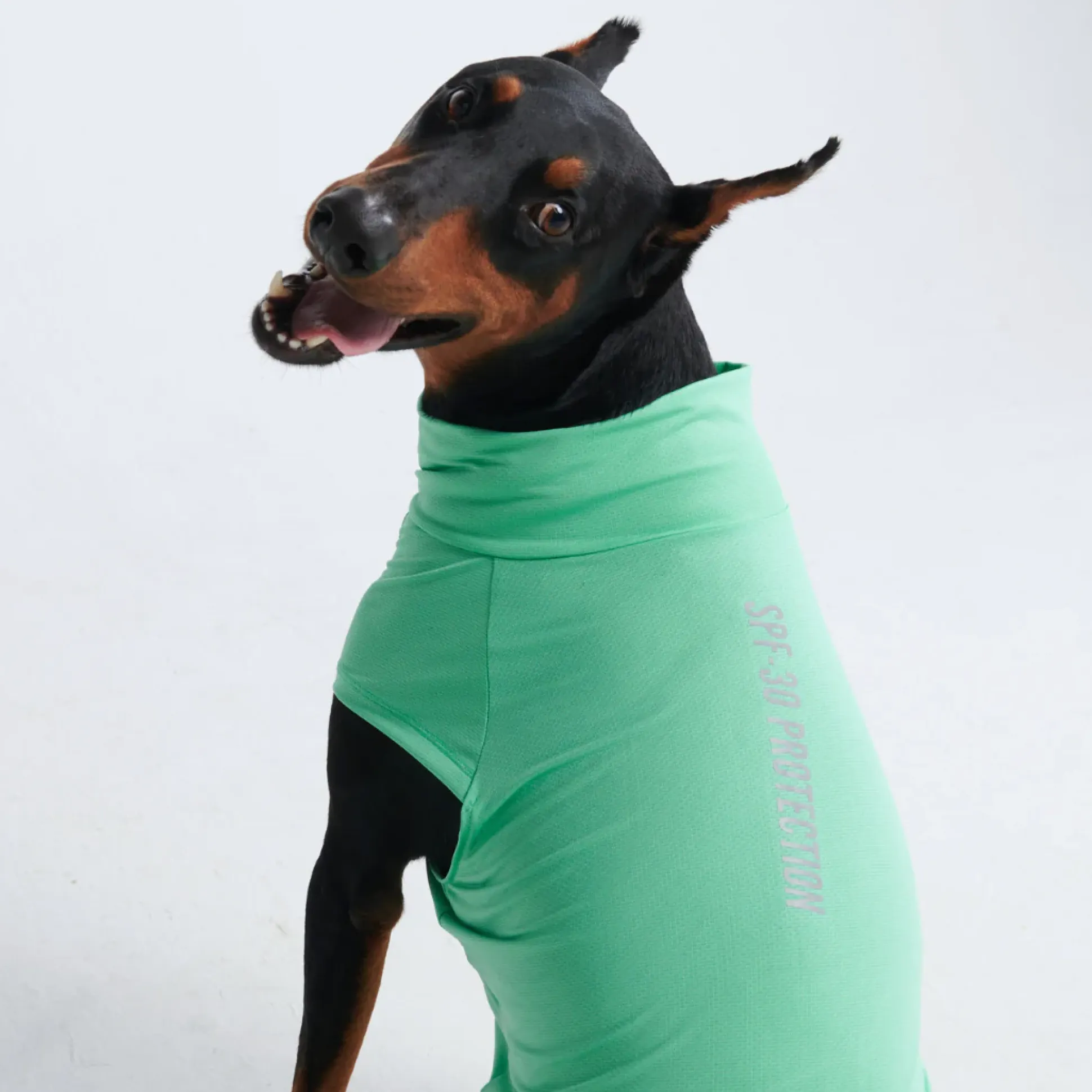 Sunblock Dog T-Shirts