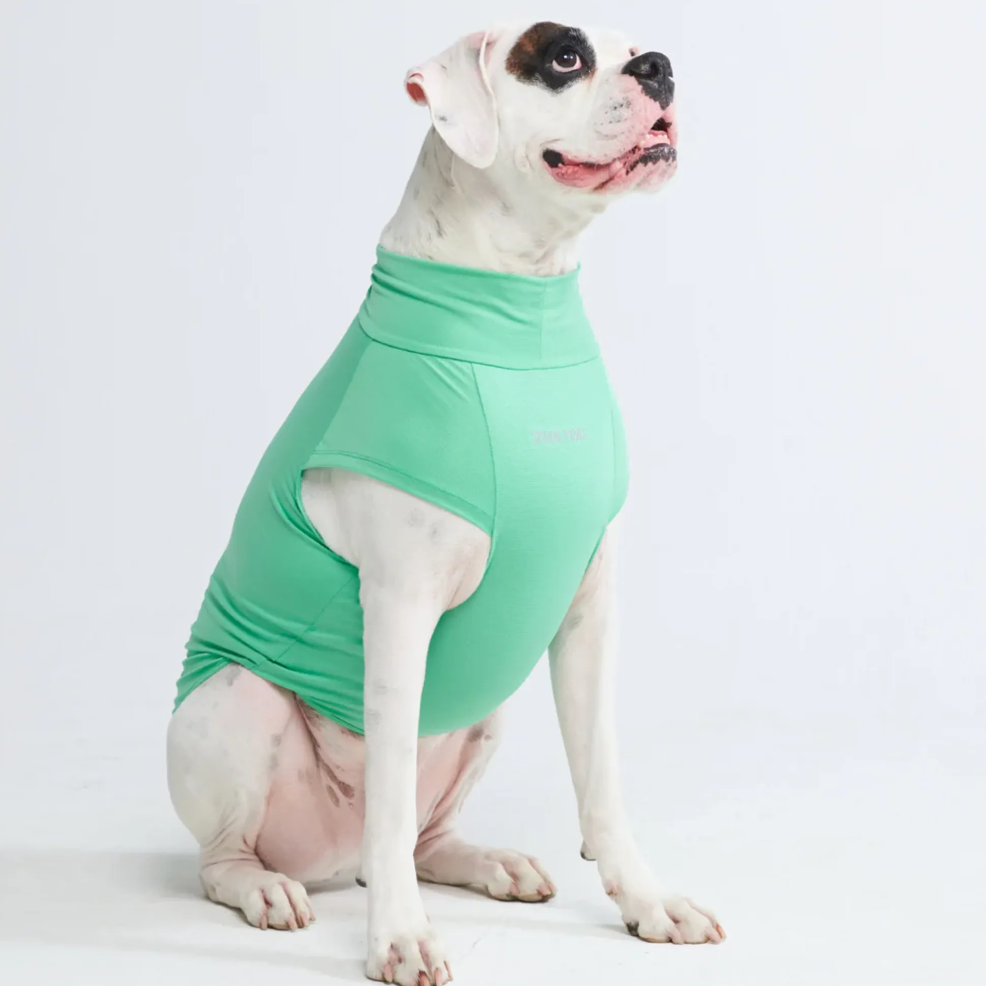 Sunblock Dog T-Shirts