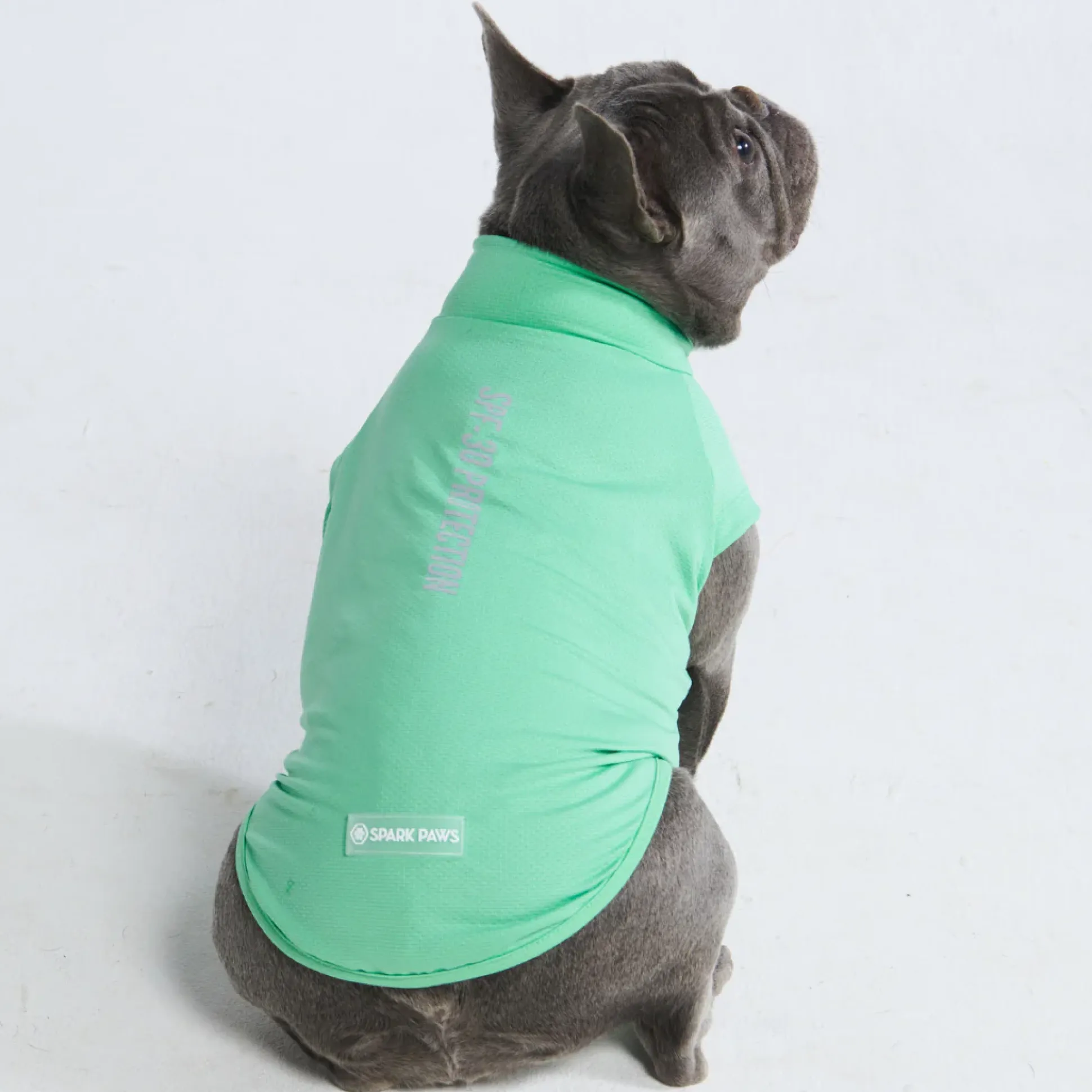 Sunblock Dog T-Shirts