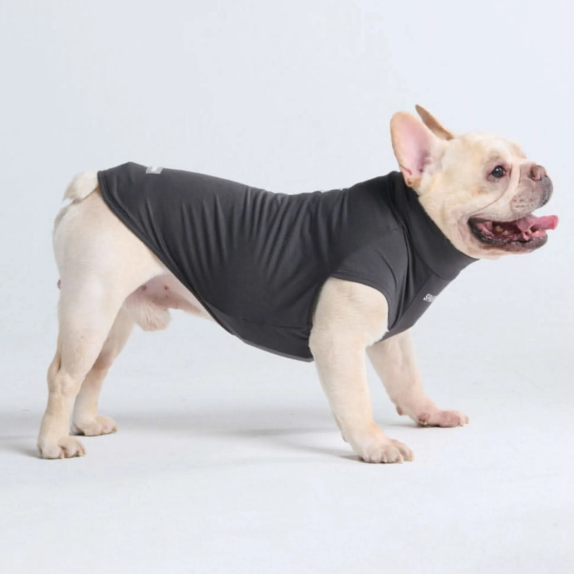 Sunblock Dog T-Shirts