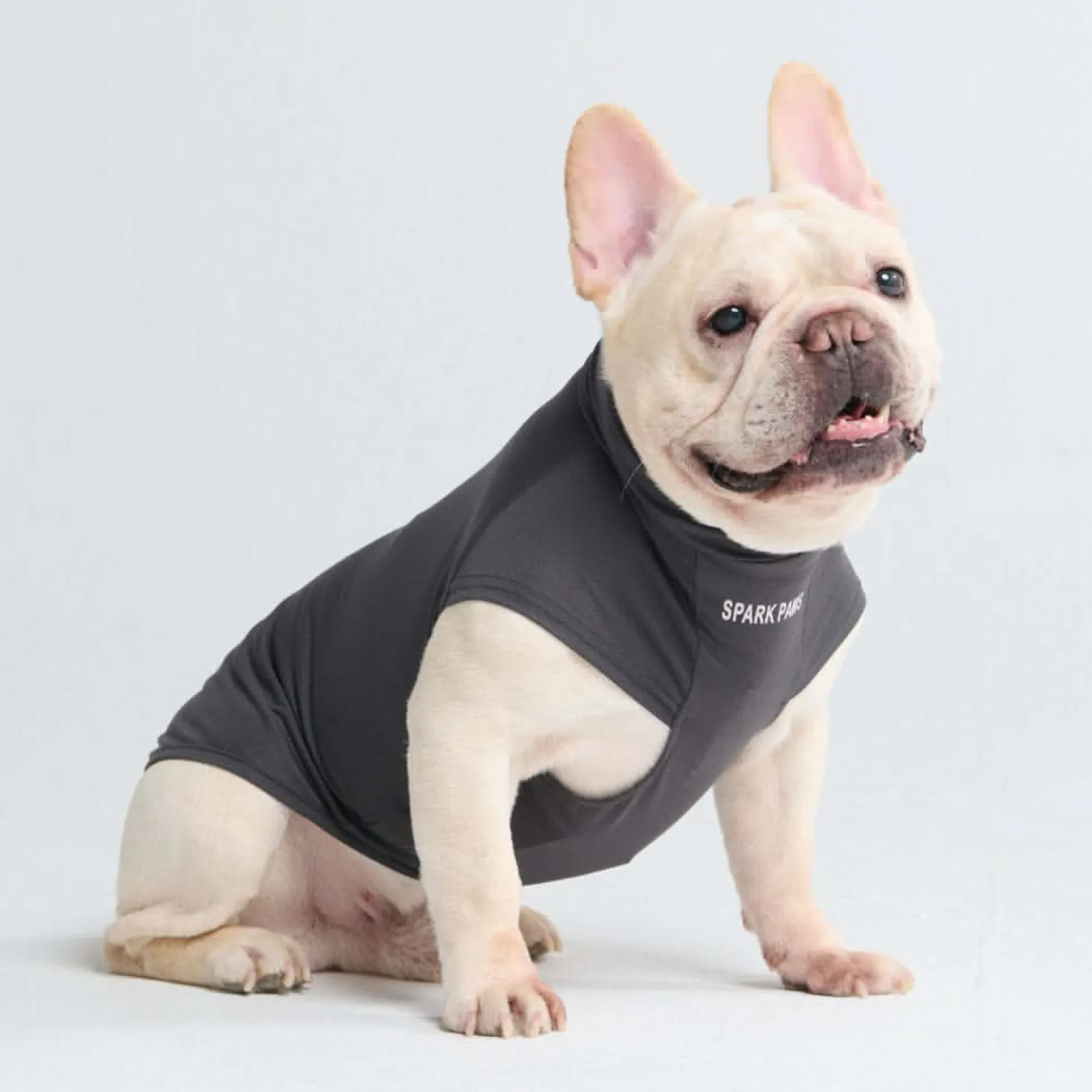 Sunblock Dog T-Shirts