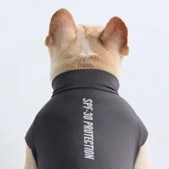 Sunblock Dog T-Shirts